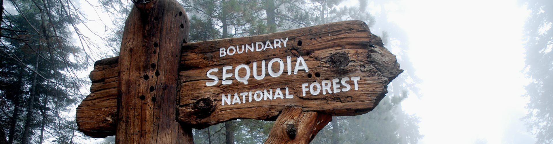 Sequoia Nationalpark, Kalifornien